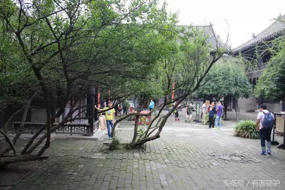 曲阜三孔孔府孔庙孔林二日游,曲阜孔庙孔府孔林自助游详尽攻略