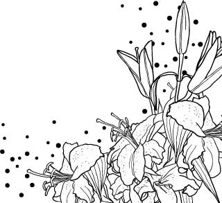 科玛旗下有哪些品牌,日本科玛原装进口