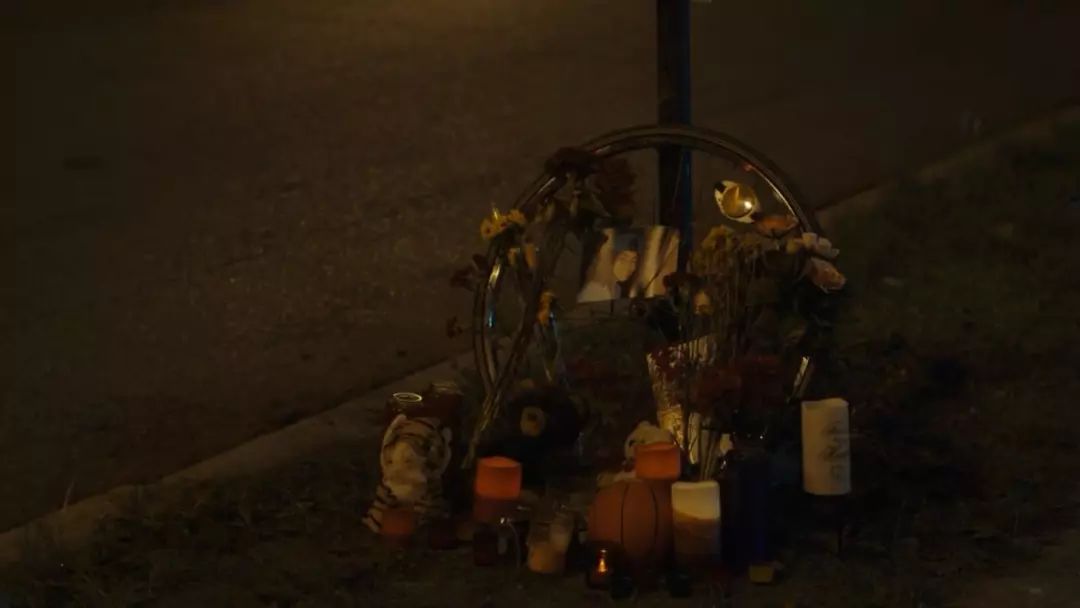 强扑、强舔、强吻，芝加哥的孩子让我大开眼界了