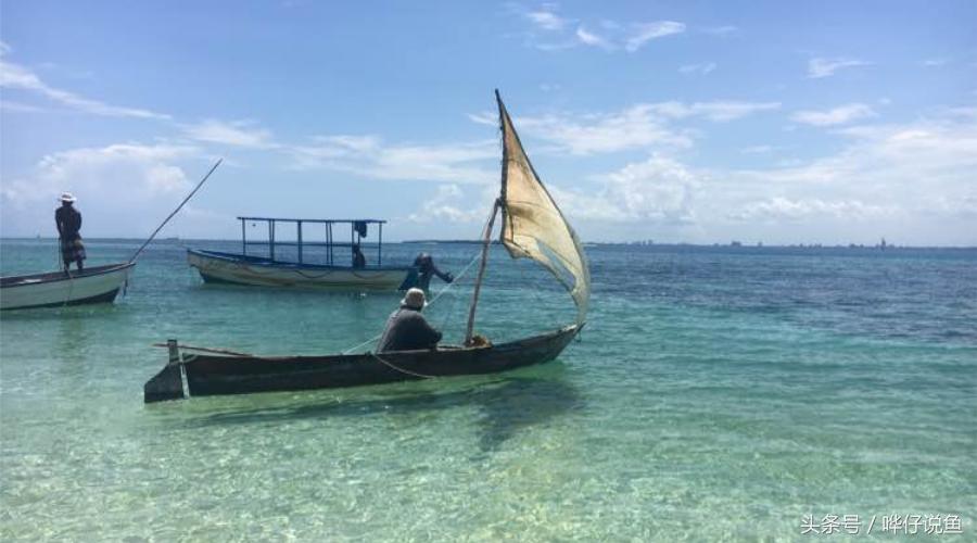 龙鱼三湖慈鲷混养大型缸,养三湖慈鲷的鱼缸选择