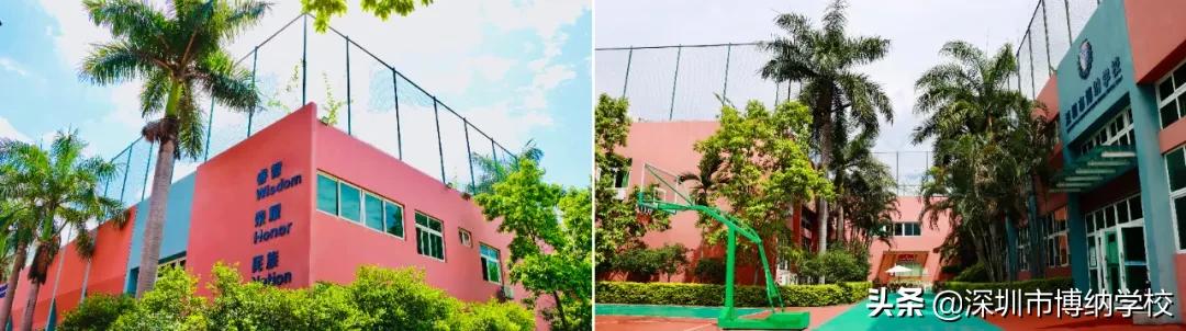 深圳南山这所宝藏国际学校，带你去打卡