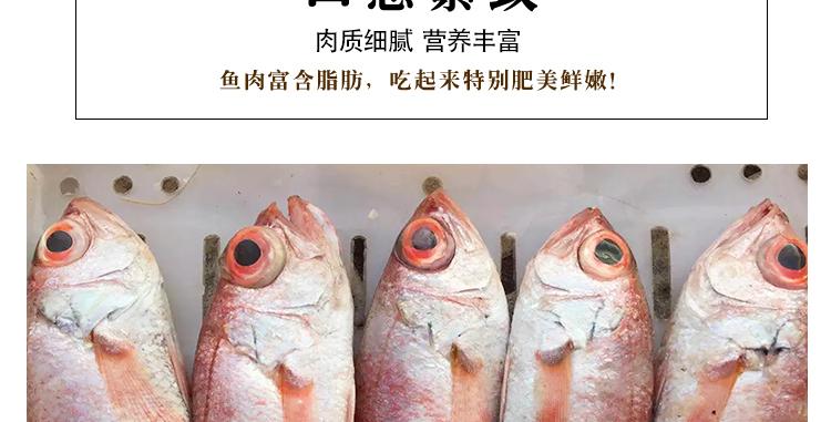海中贵族是什么意思,海中贵族埼玉