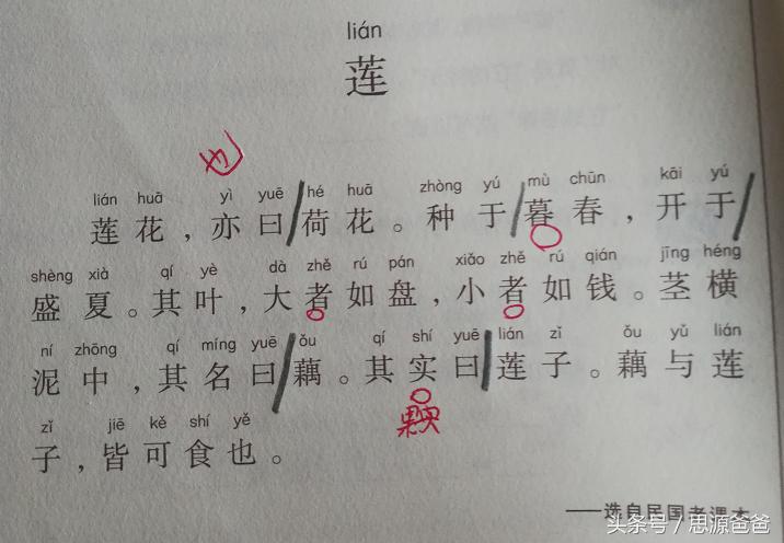 小学小古文学习方法和技巧,小学低年级学生如何学习小古文