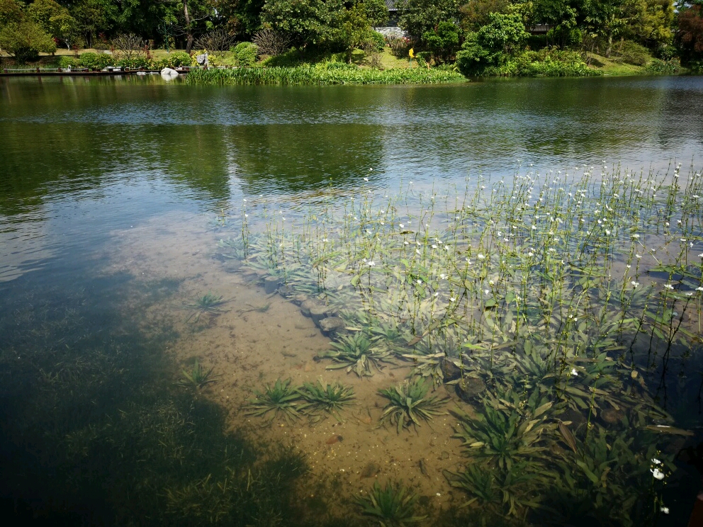 海珠湖国家湿地公园门票,海珠湖国家湿地公园西门