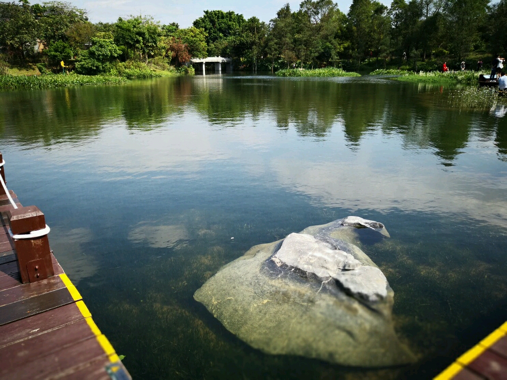 海珠湖国家湿地公园门票,海珠湖国家湿地公园西门
