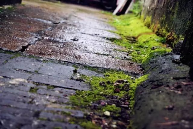 一个有着1500年历史的水乡古镇,江南水乡苏州锦溪古镇夜景