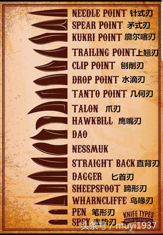 闯荡江湖要学会哪些本事,闯荡江湖第一站