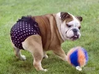 一条CK*裤内**引发的意外(亿万)伤害