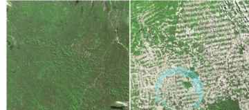 地球生态环境现状简介50字,地球生态的现状