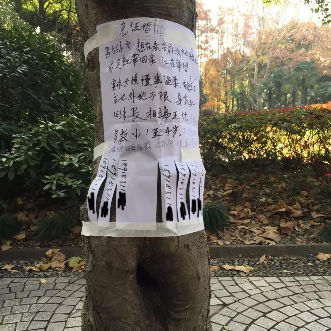 34岁美女相亲十次,32岁美女相亲30多次都失败