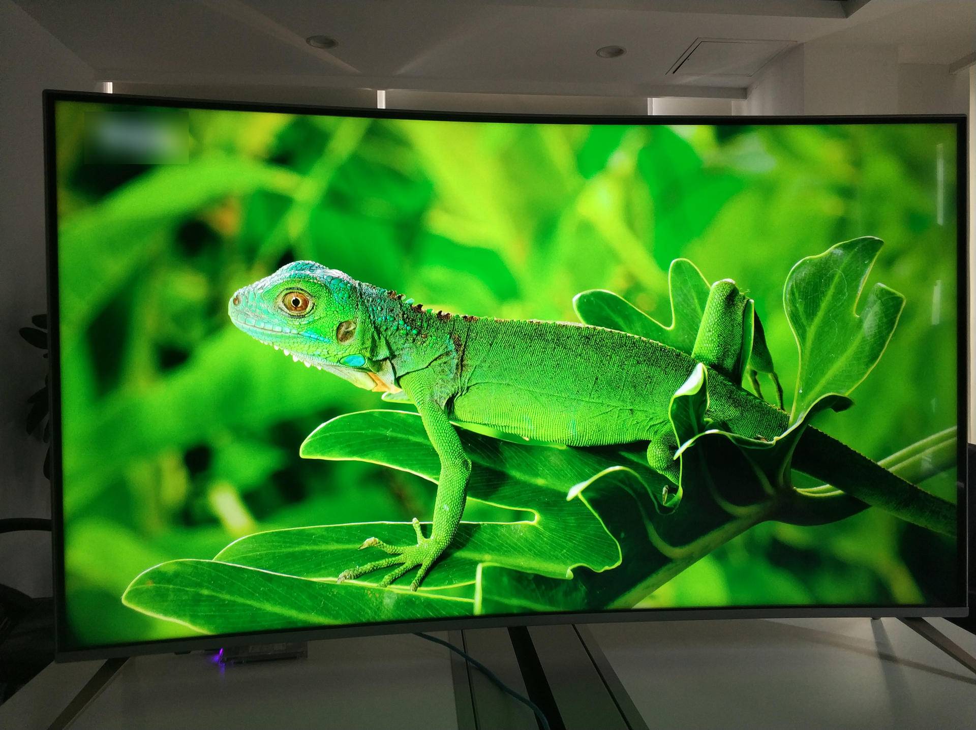 风行电视f55c怎么样,风行曲面电视f55c