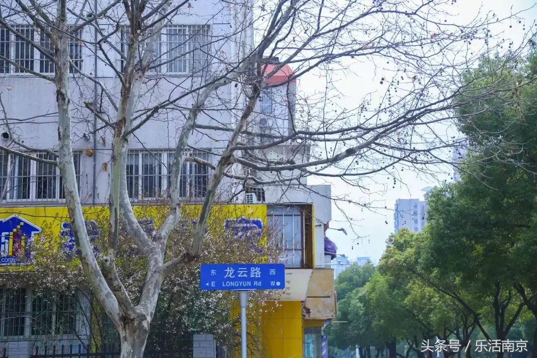 龙江说房,龙江值得买吗