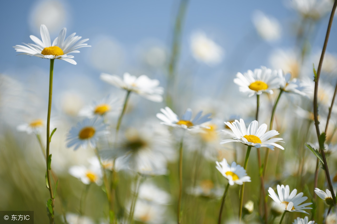 说一声珍重道一声晚安美文,单身女励志晚安发圈美文