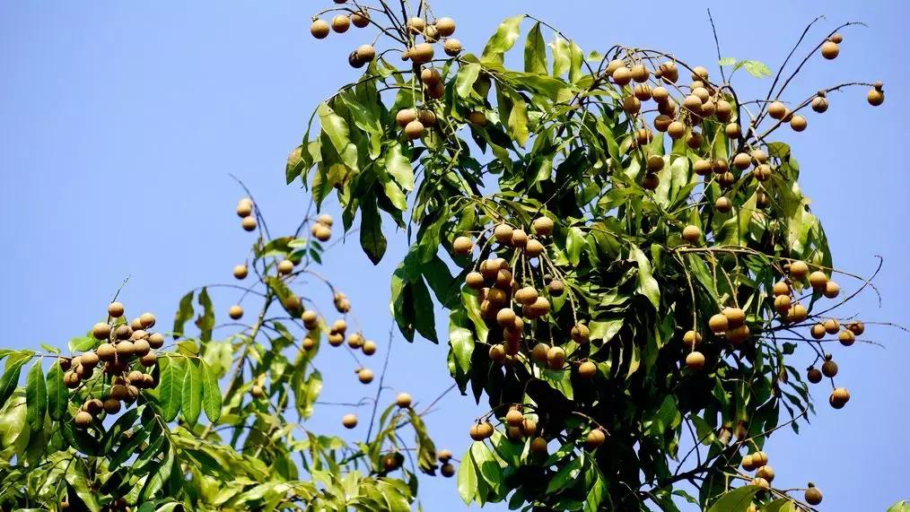 世界500强投资了300多家,泸州世界500强有哪些