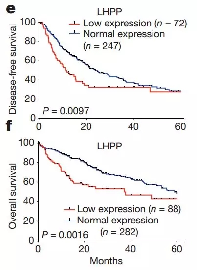 肝癌大突破!拉斯克奖大牛发现全新抑癌蛋白