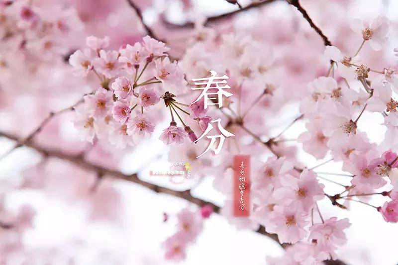 致东湖：你的美不只在绿道二期，从四季路过都会被你惊艳