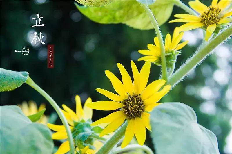 致东湖：你的美不只在绿道二期，从四季路过都会被你惊艳