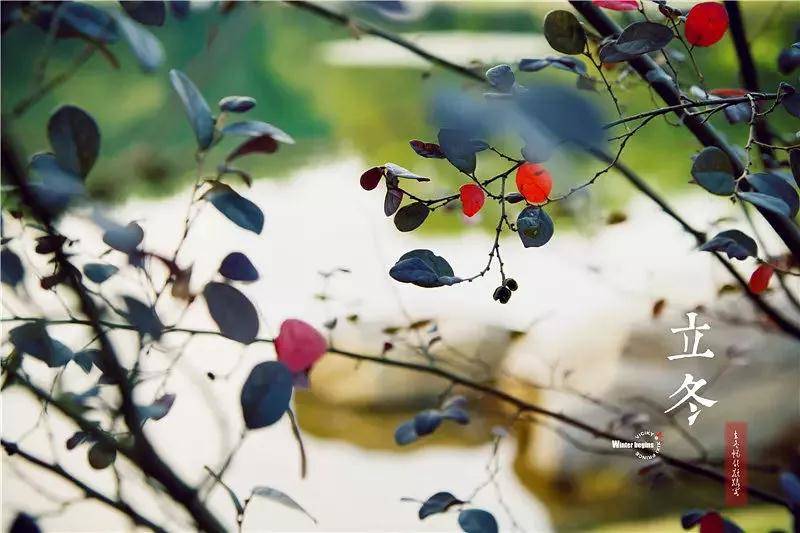 致东湖：你的美不只在绿道二期，从四季路过都会被你惊艳