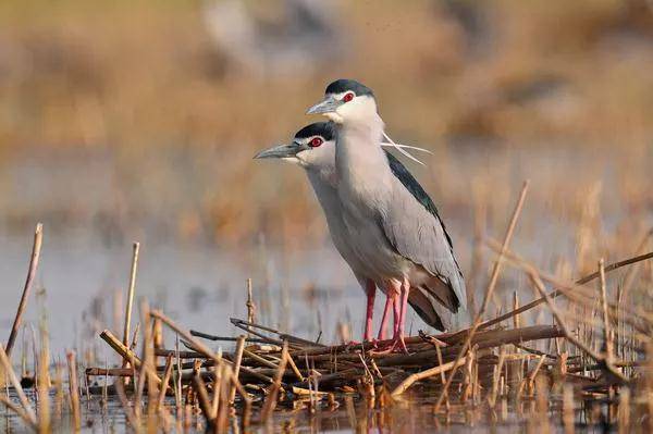 致东湖：你的美不只在绿道二期，从四季路过都会被你惊艳