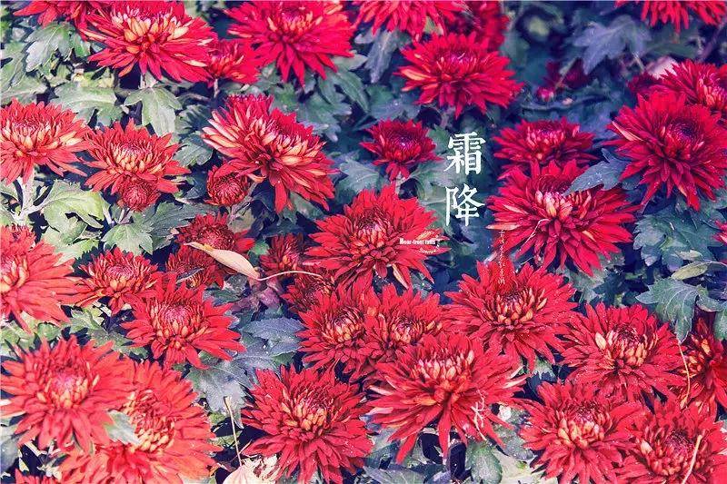 致东湖：你的美不只在绿道二期，从四季路过都会被你惊艳