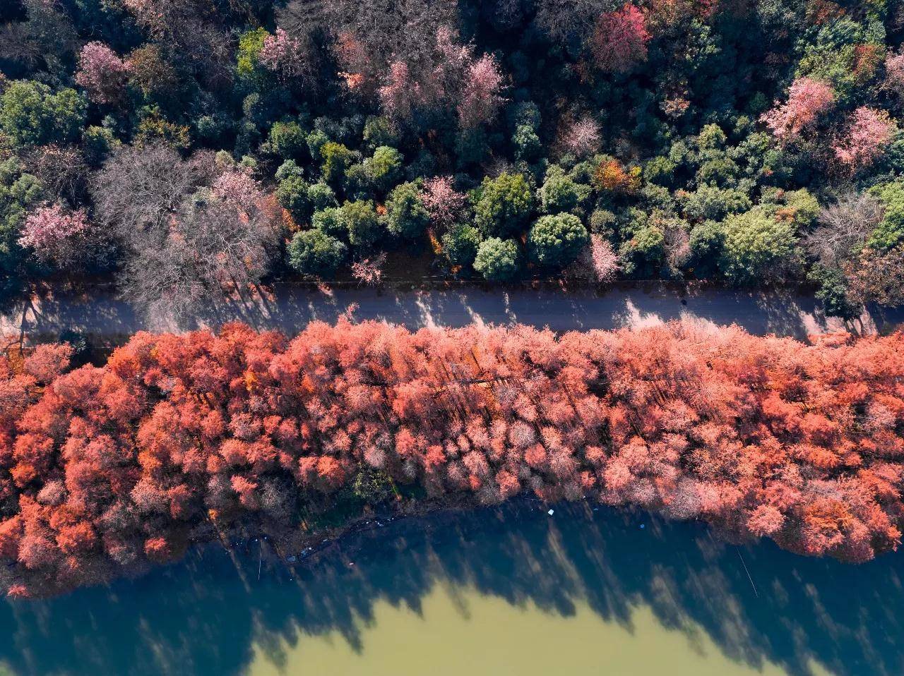 致东湖：你的美不只在绿道二期，从四季路过都会被你惊艳