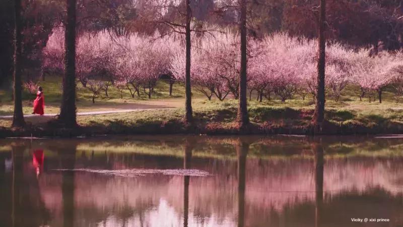 致东湖：你的美不只在绿道二期，从四季路过都会被你惊艳