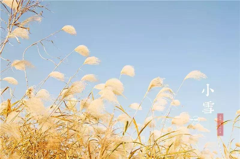 致东湖：你的美不只在绿道二期，从四季路过都会被你惊艳