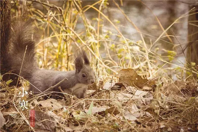 致东湖：你的美不只在绿道二期，从四季路过都会被你惊艳