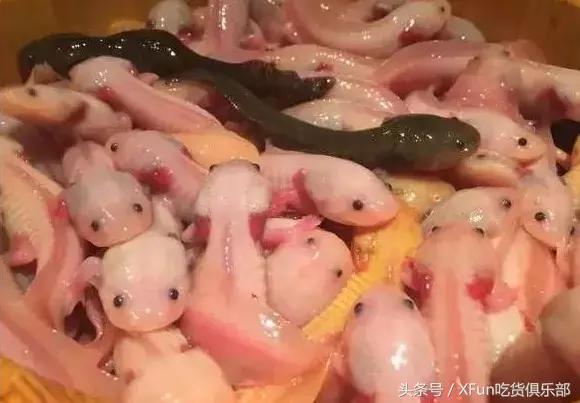 油炸六角恐龙好吃吗怎么做,六角恐龙油炸方法