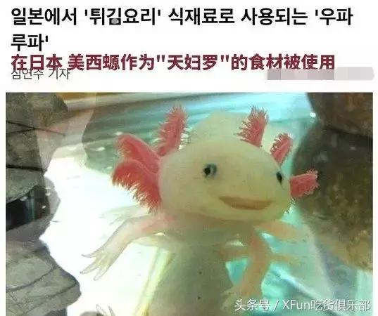 油炸六角恐龙好吃吗怎么做,六角恐龙油炸方法