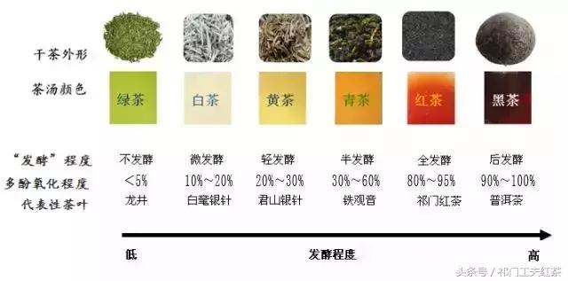 中国茶叶博物馆十大名茶,中国茶叶六大类