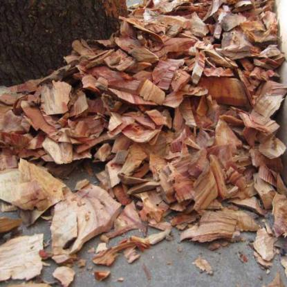 实木地板如何防虫蛀,实木地板怎么防虫