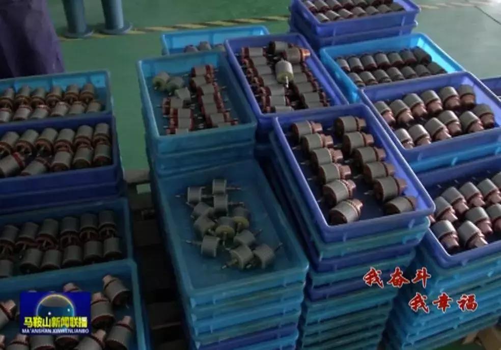 张亮生简介,安徽马鞍山张亮