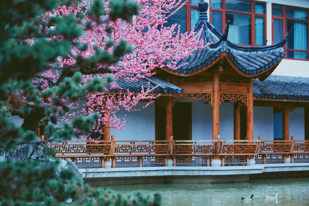 东阳有个慶蘭名宿，仿佛住进了博物馆，到处是珍藏级别的艺术品。