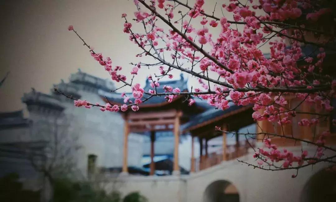 东阳有个慶蘭名宿，仿佛住进了博物馆，到处是珍藏级别的艺术品。