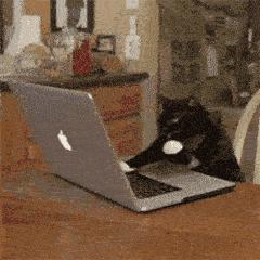 Java就业前景怎么样?学完Java好找工作吗?