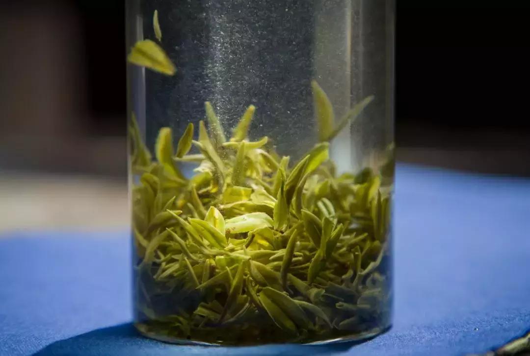 正宗金奖惠明茶,明前金奖惠明的贡茶