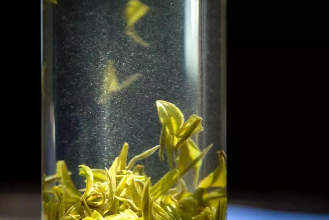 正宗金奖惠明茶,明前金奖惠明的贡茶