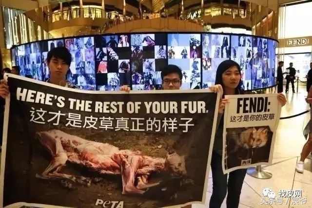 阿迪达斯海洋垃圾鞋,阿迪达斯海洋垃圾鞋叫什么