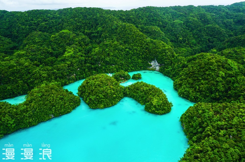 帕劳攻略详细教程,帕劳吃喝玩乐攻略