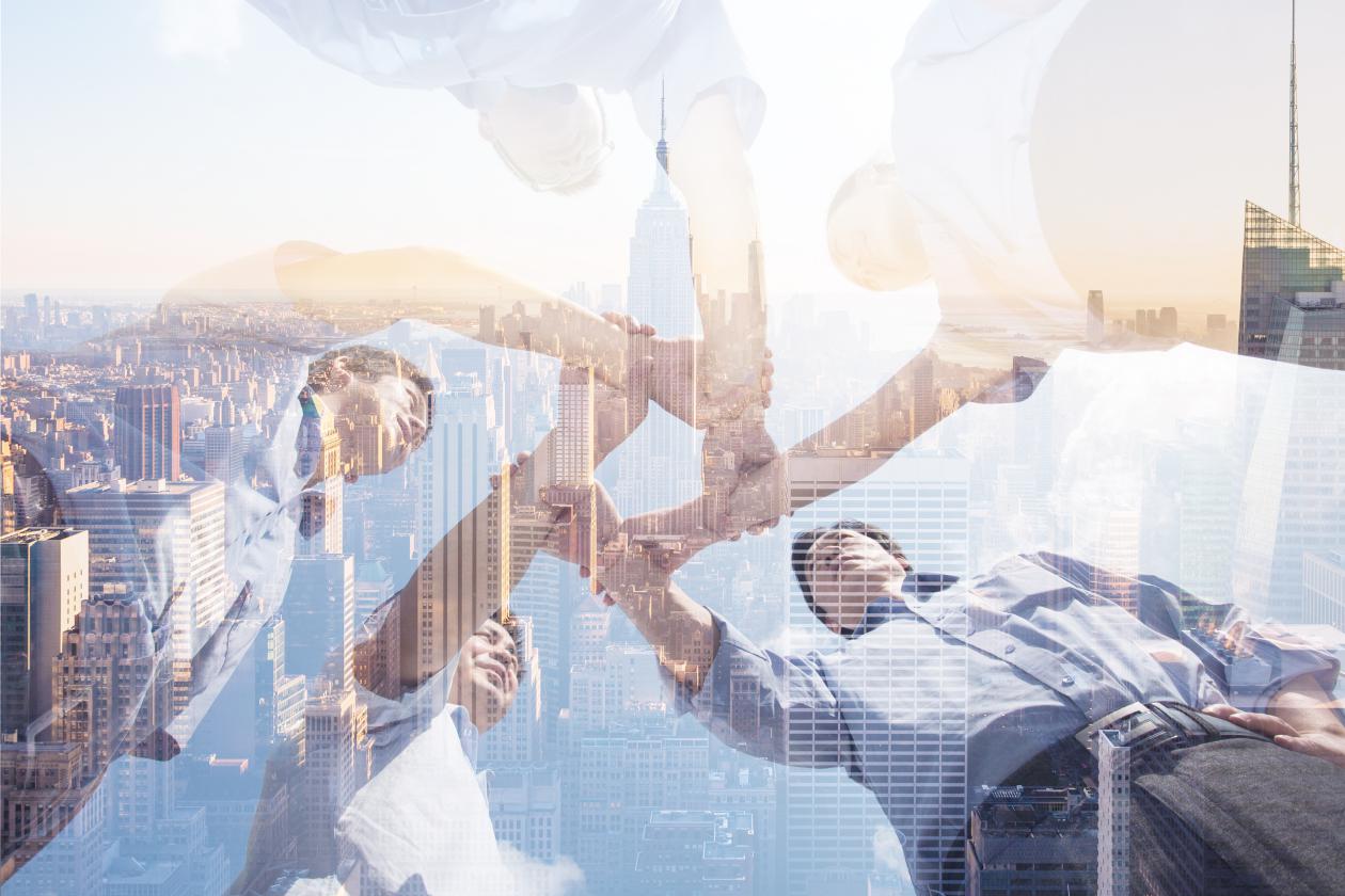 鲁小姐理财最新消息,鲁小姐理财公司