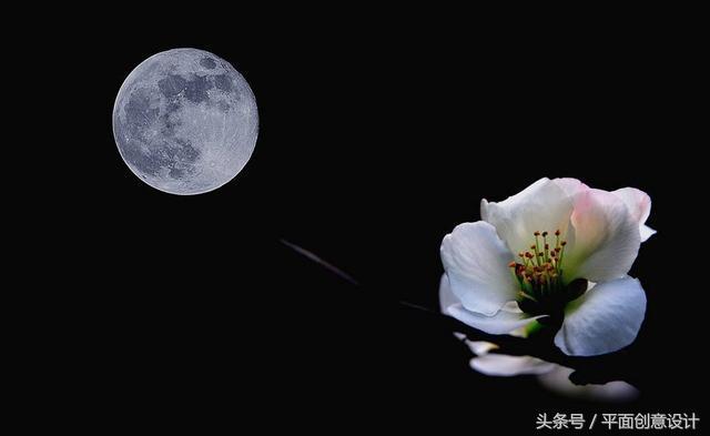 ps软件是学什么知识的,带你了解ps软件的特点