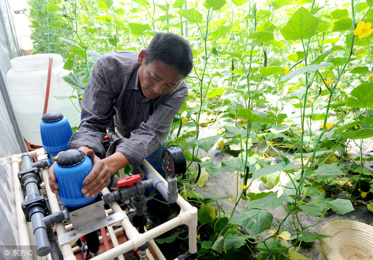 买了不会用，用时不会买？你真的了解水溶肥吗？早懂不吃亏！