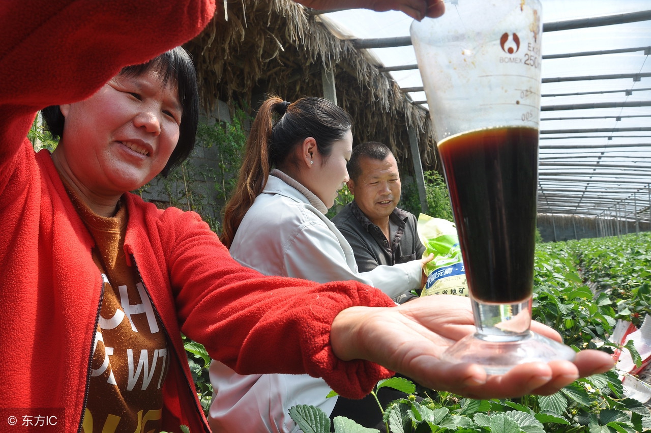 买了不会用，用时不会买？你真的了解水溶肥吗？早懂不吃亏！