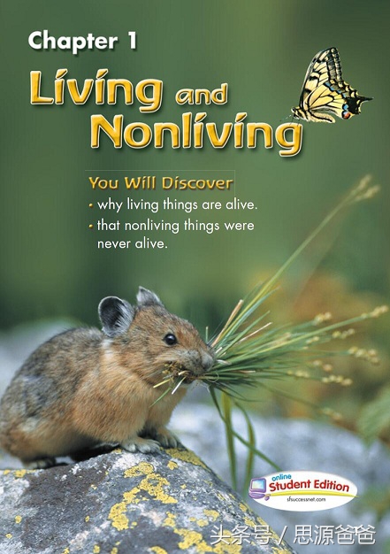 新概念英语教材全解有用吗,英语学新概念还是原版教材