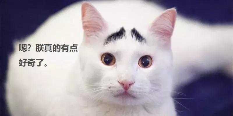 造车新势力依靠特斯拉技术,全球第二早的造车新势力