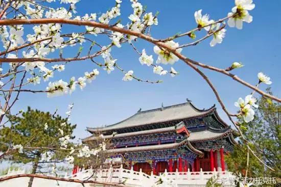 正北方网是什么意思,正北方网介绍