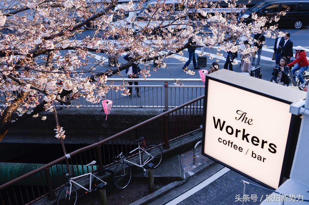 日本赏樱规划樱花行程的必备攻略,2020日本樱花季东京赏樱最强攻略