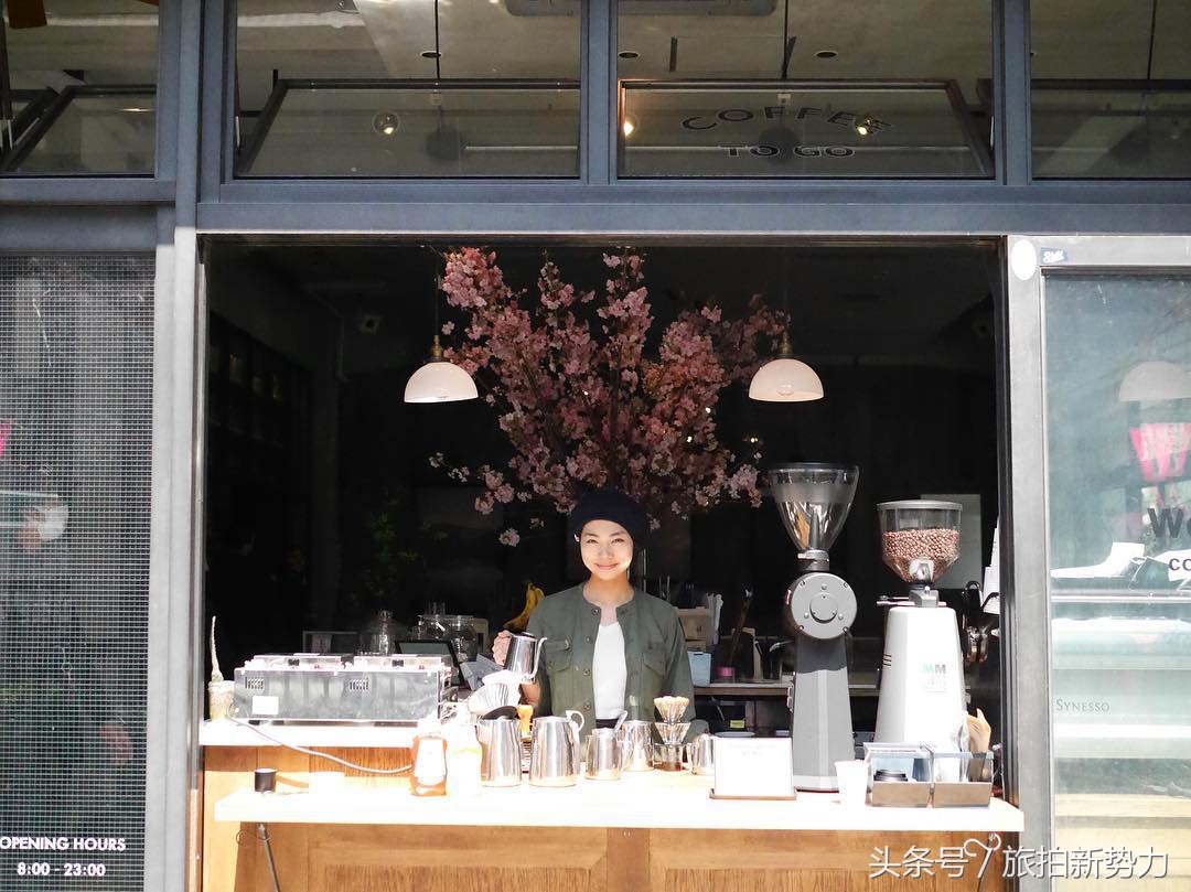 日本赏樱规划樱花行程的必备攻略,2020日本樱花季东京赏樱最强攻略