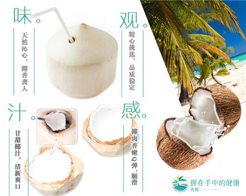 爽椰无人售货机,爽椰售货机投资费用